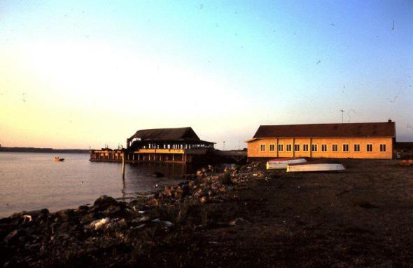 296628_206480582750409_1389108122_n