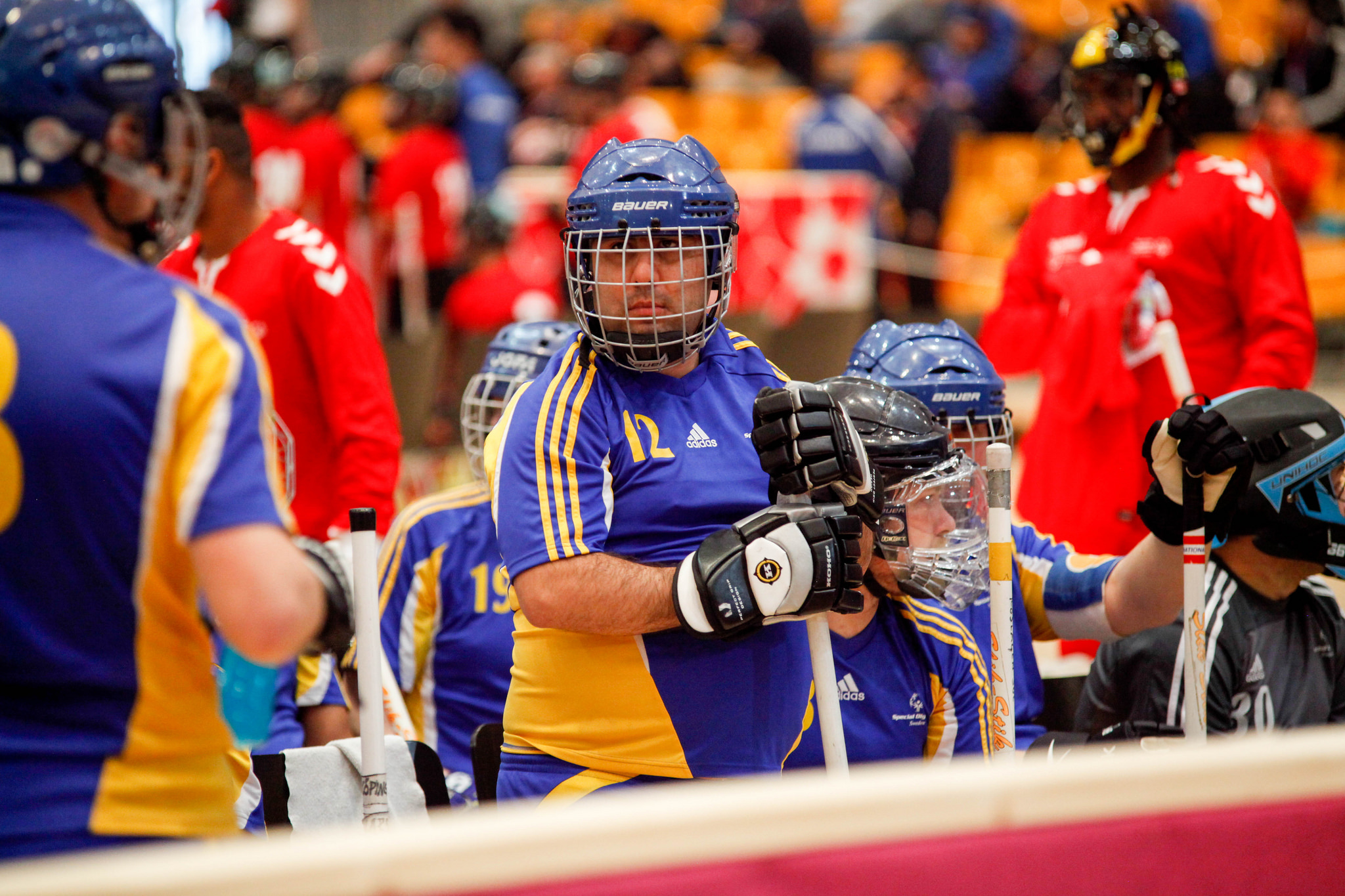 33363517771_5cda12ba10_k