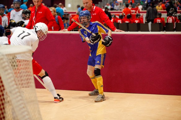 33491812805_2b7790b0f4_k