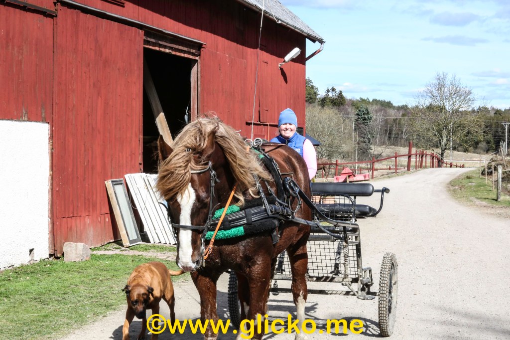 Idag får ni följa med till Toric Center i&nbsp;Brastad