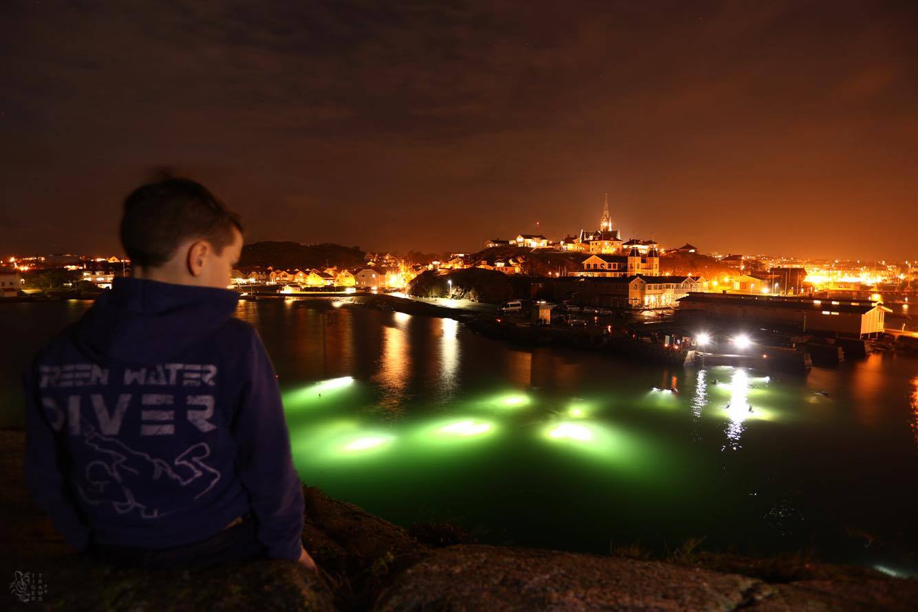 23261981_1857784341218659_1074769179_o