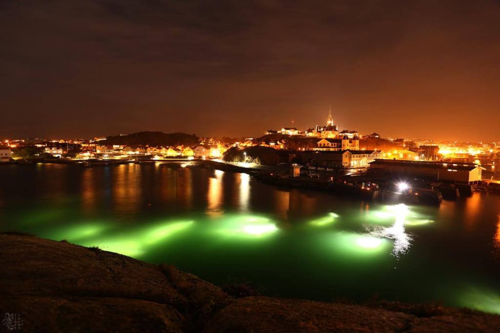 52 dykare var i vattnet vid Släggö ikväll när Dive Team Lysekil anordnade Divers Night för sjätte året i&nbsp;rad.