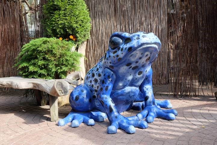 Groda till skansenakvariet. Levererad maj 2016.jpg