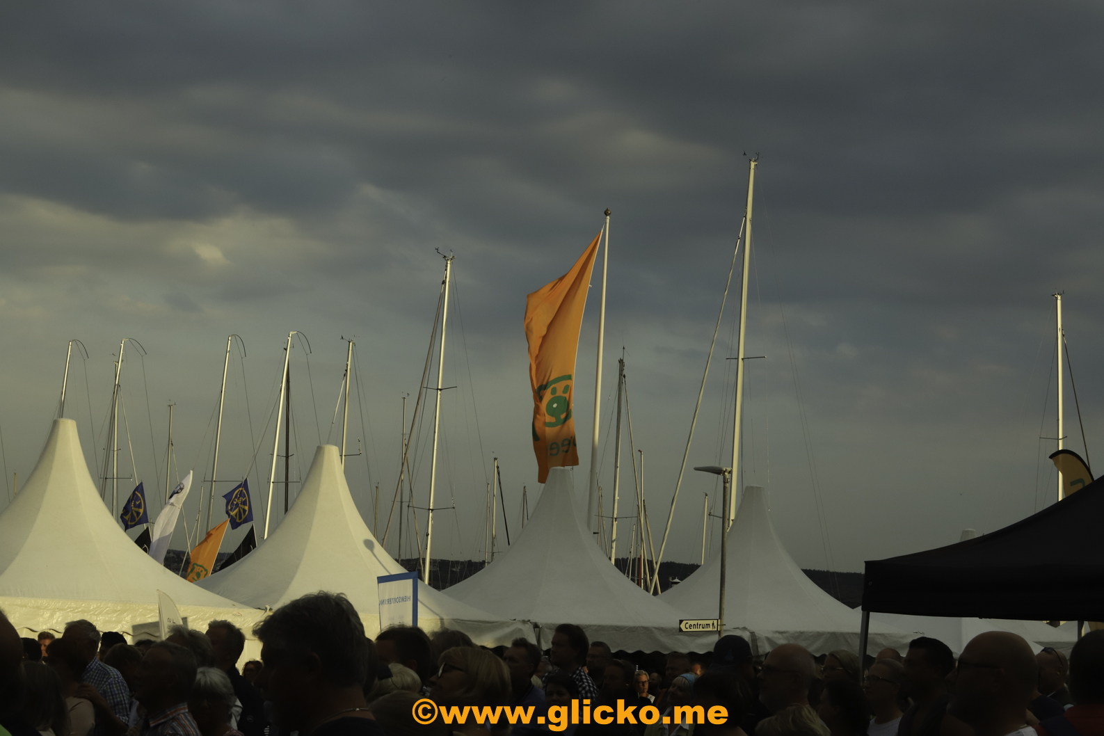 IMG_4616.jpg
