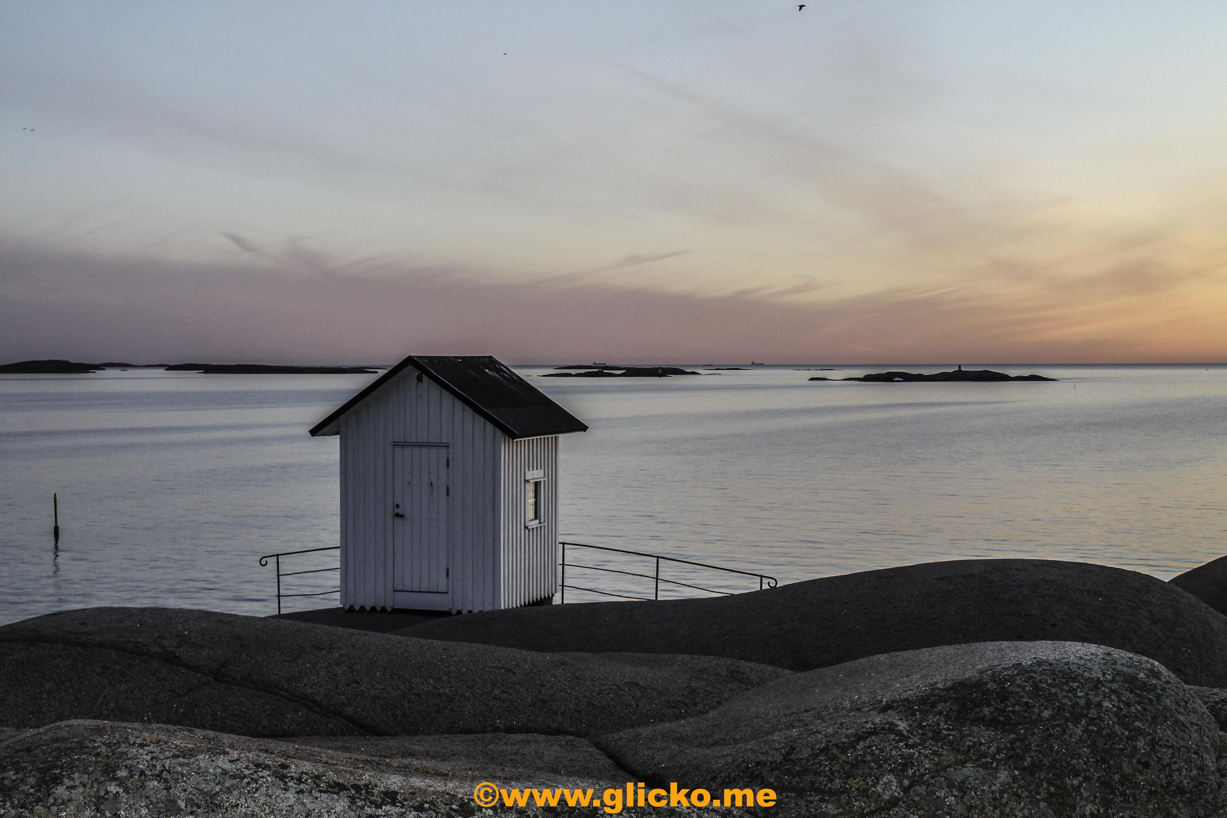 IMG_8542.jpg