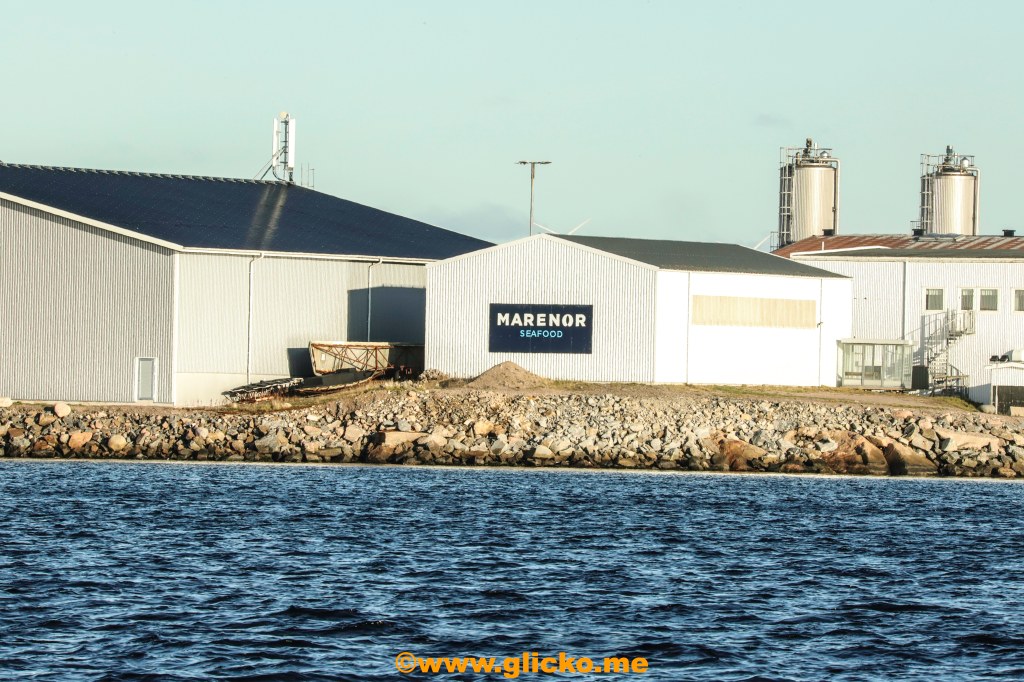 Idag kom beslutet från Länsstyrelsen om en vattenledning, och detta gör att det är mycket närmare en nystart av företaget VegaFish och odling av jätteräkor här i&nbsp;Lysekil