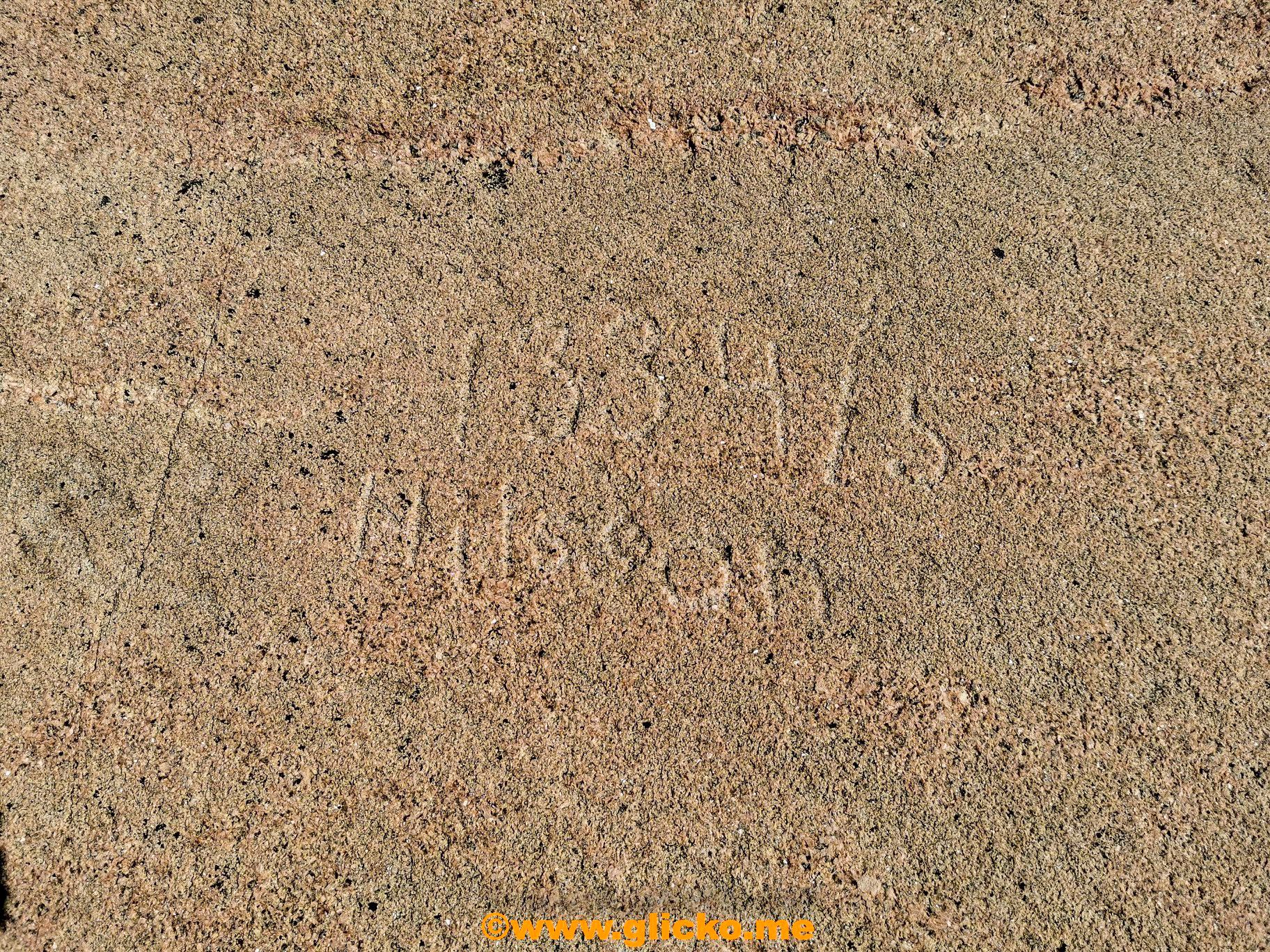 102848904_1537800709714457_5533354711312236544_o