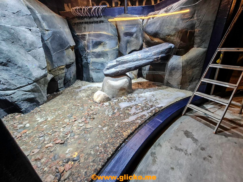 Igår släpptes vattnet på i det första av fyra nya stora akvarierna på Havets Hus i&nbsp;Lysekil