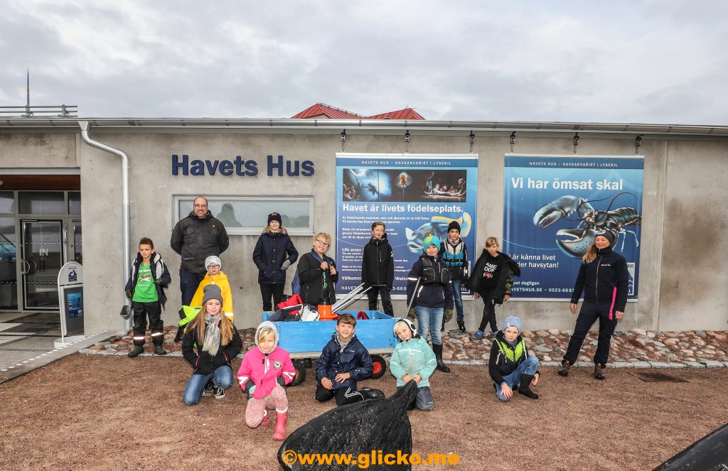 Succé för Havets Hus Havsskola här på Havets Hus i&nbsp;Lysekil
