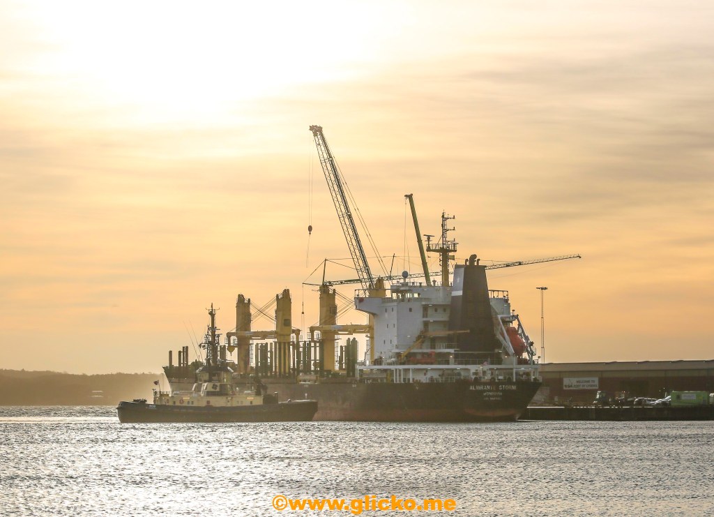 Hård vind har bland annat påverkat att det blivit förseningar med lossningen av virket från fartyget Almirante&nbsp;Storni