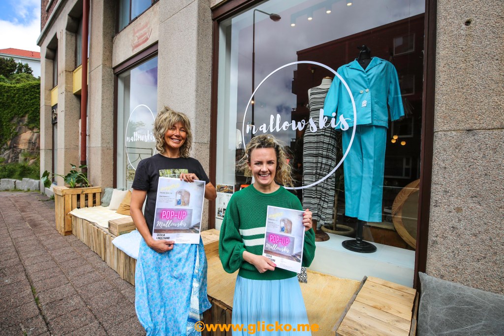 POP-UP konstutställning med Cecilia Lindstrand hos Mallowskis