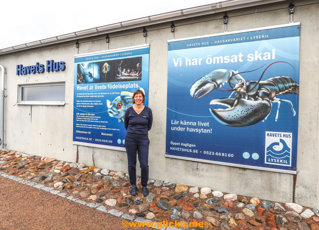 Havets Hus i Lysekil firar 30&nbsp;år