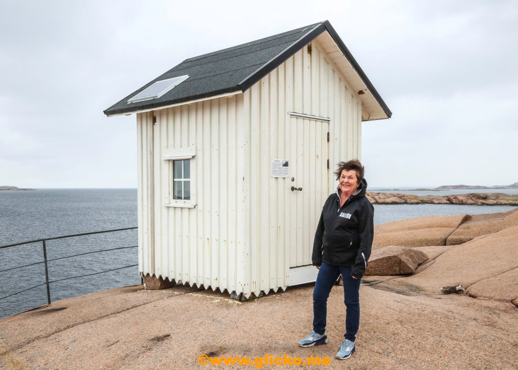Stort Grattis till Viveca Lärn som idag fyller 80 år