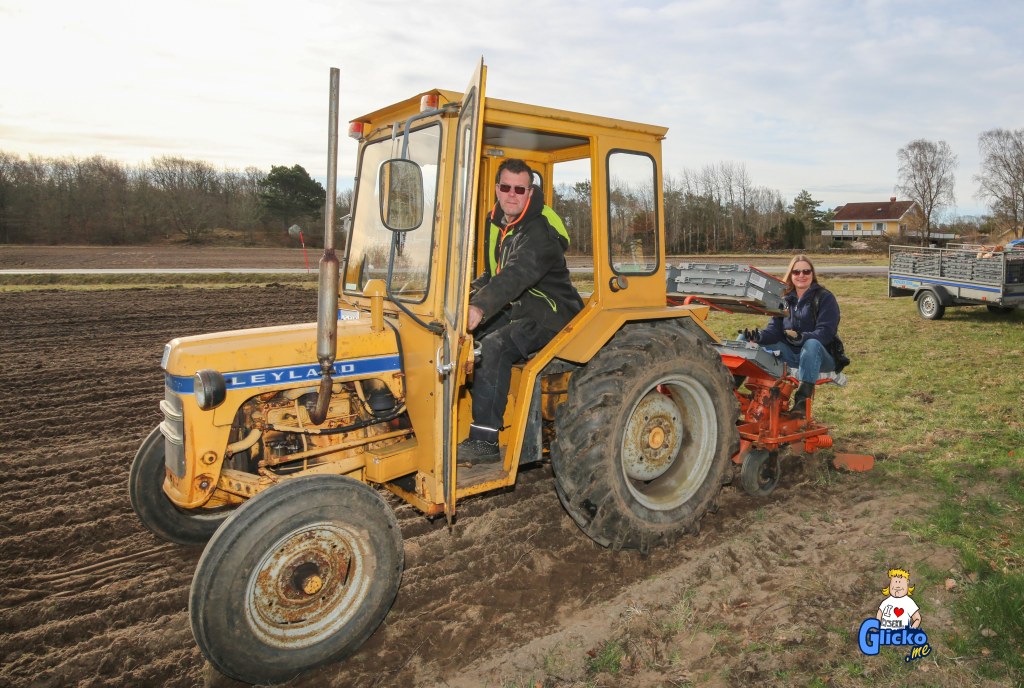 Pelle och Annika fixar potatisen till&nbsp;midsommar
