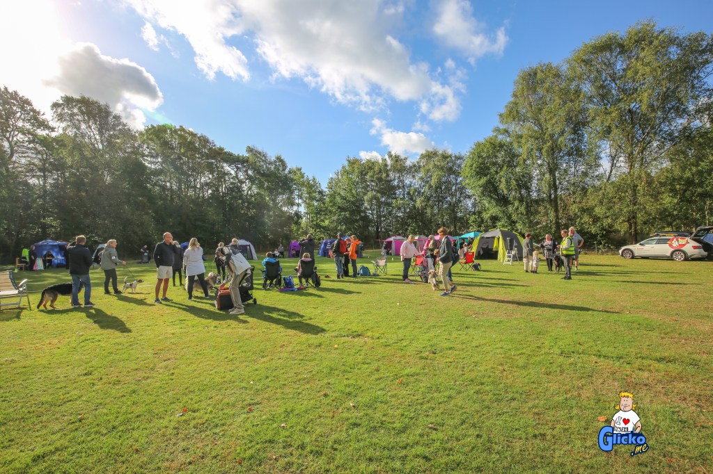 Inofficiell hundutställning i Lysekil lockade många&nbsp;deltagare
