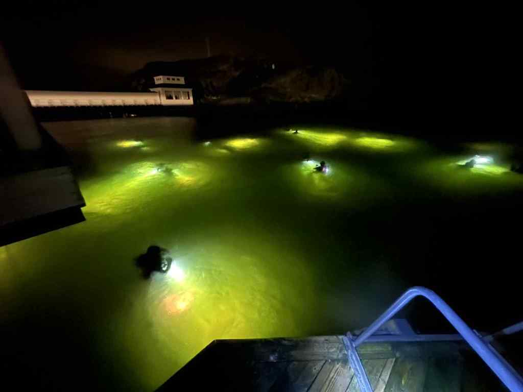 I fredags var det återigen dags för Divers&nbsp;Night