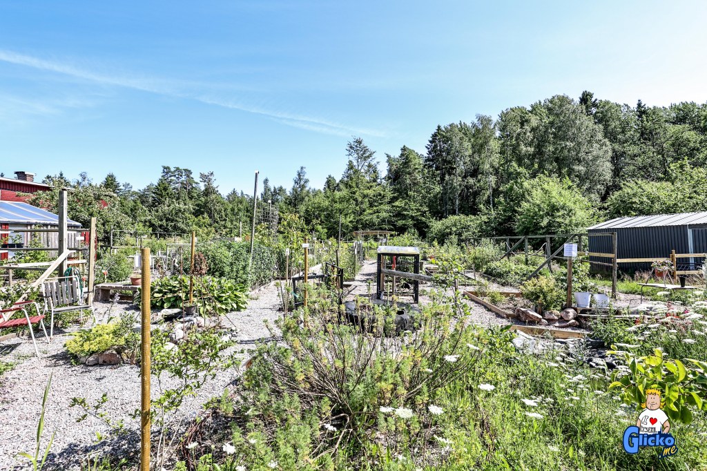 Immestads Örtagård är nu en unikt blomstrande&nbsp;trädgård